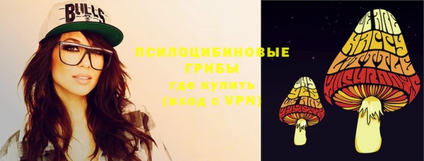 стаф Абаза