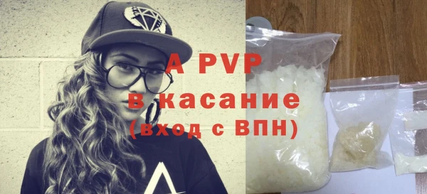 стаф Абаза