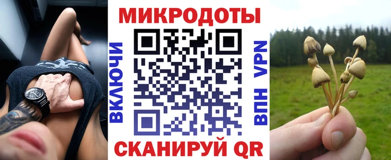 omg tor  Прокопьевск  Галлюциногенные грибы Psilocybine cubensis  закладка 